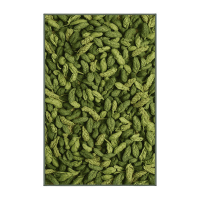 Washable Alfalfa Sprouts Vegetables Area Rug