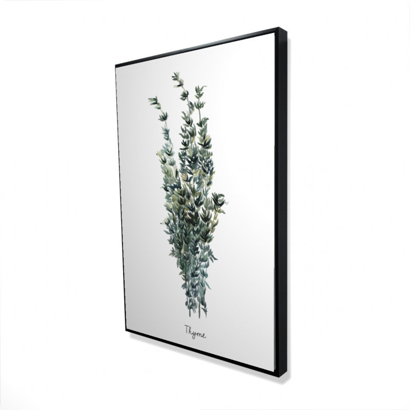 " Thyme Leaves Bundle - En "