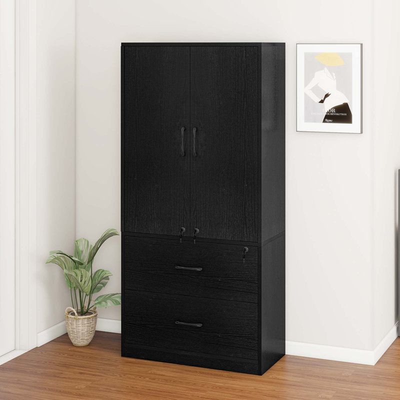 Annya 68'' H 2 -Drawer File Cabinet, Filing cabinet with Lock & Doors & Adjustable Shelves, Black
