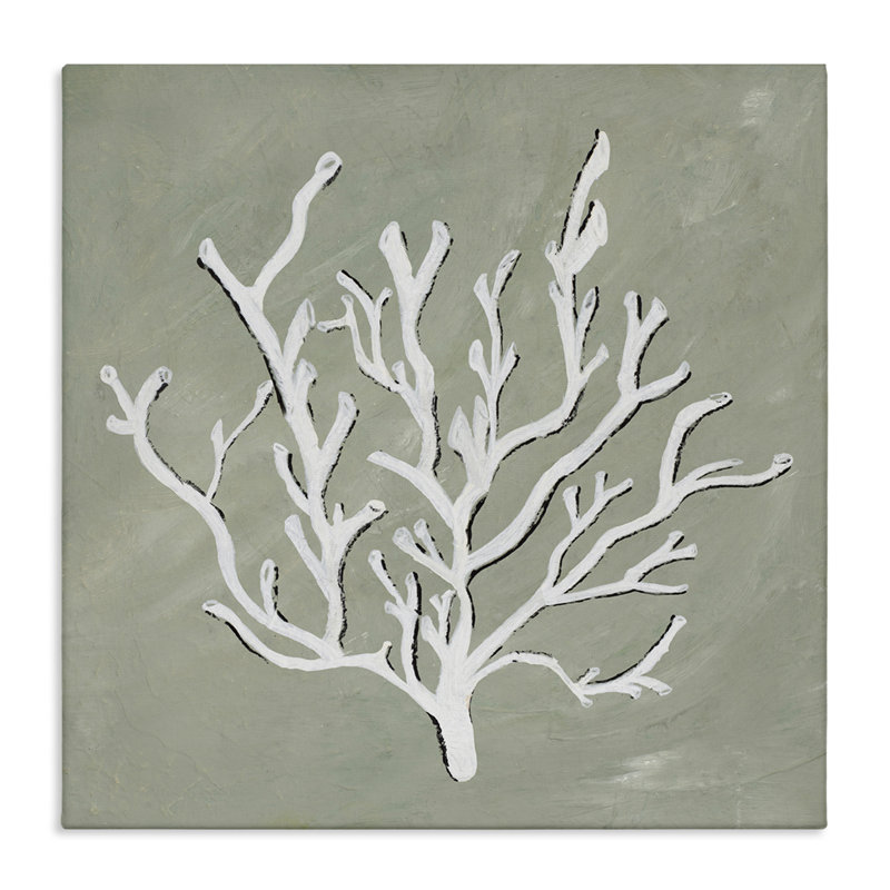 Impression sur toile «White Coral Impression» par Nola James, H 24 po x l 24 po