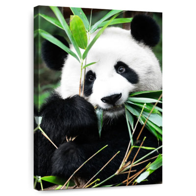 Panda géant Brampt I