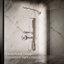 Pomme de douche à main à fonctions multiples Shift, deux fonctions, 1,75 gallons par minute-48565609