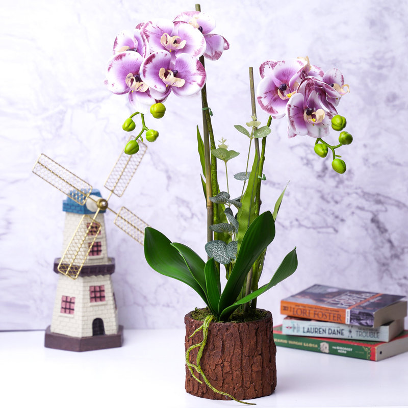 Orchidée mauve avec jardinière rustique
