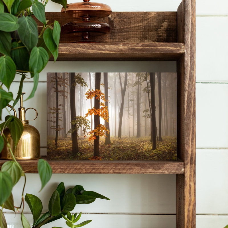 «Misty Autumn Forest Ethereal Peaceful Serene Autumn Forest», art mural, H 12 po x l 18 po