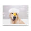 No Frame Print on Canvas-1260753475