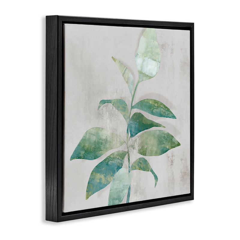 Cadre flottant Minimal Bloom Rustic Accent, design par Alex Black, Cadre flottant noir de jais, H 18 po x l 18 po