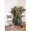 Baltimore Handmade Pot Planter-14486342-16511331