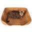 Lit pour animaux Artifacts Rattan