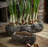 Calahan Statue Planter-1385235701