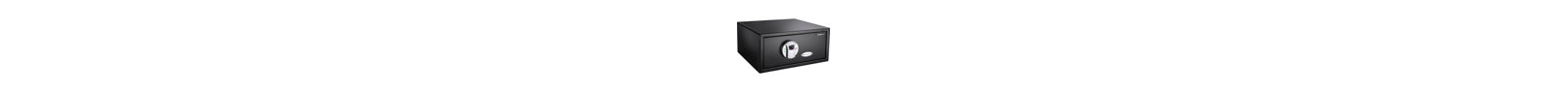 Biometric Safe – Compact Security Box