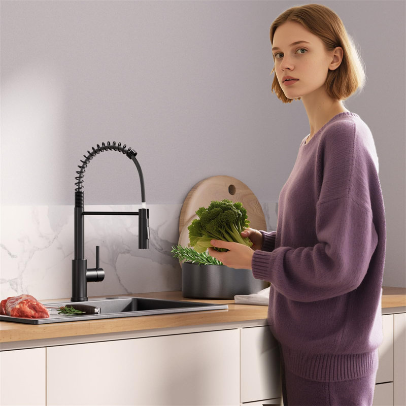 Belfry Kitchen Kitchen Faucet