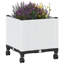 Elevated Planter-166660442-166660454