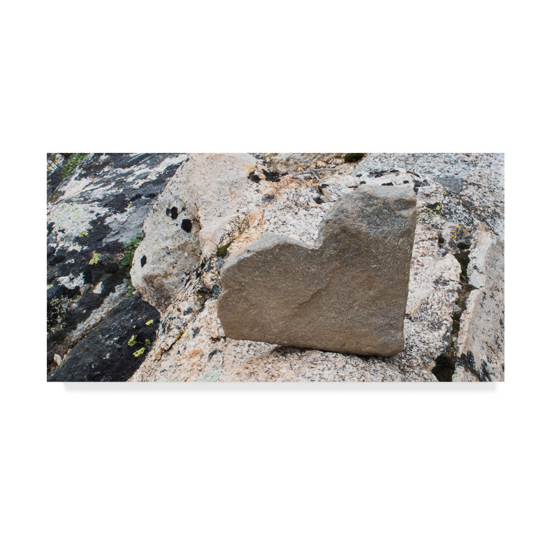 « love rocks », reproduction de photo sur toile tendue, H 24 po x l 47 po x P 2 po