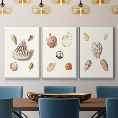 Pastel Knorr Shells VI 3 pièces