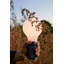 Aplo LED Outdoor Table Lamp-70508220