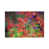 Canvas selected