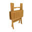 Table pliante à pique-nique 24 po WINDSOR