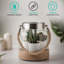 Tabletop Lantern-134154761