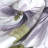 April Flowers Room Darkening Window Curtain-130653420