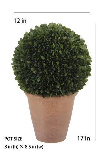 12" Artificial Boxwood Plant in Round Pot, 17 in x 12 in