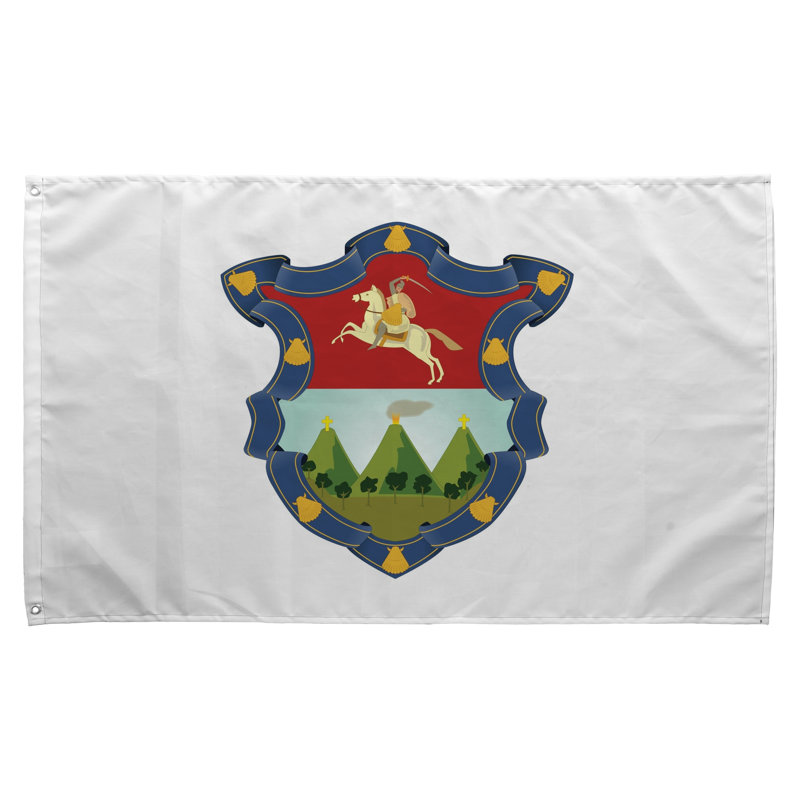 Drapeau de la ville de Guatemala - drapeau
