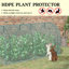 Cage de culture facile à utiliser, tente de protection des plantes, avec portes à fermeture à glissière, sac de rangement et piquets de sol