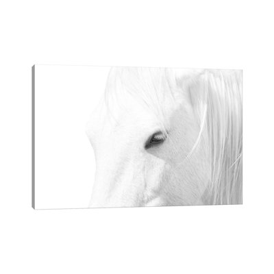 « Cheval blanc » par Marco Carmassi-impression d’art graphique