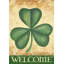 Drapeau Shamrock Welcome House-1084671437