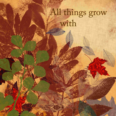 " All Things And Stuff "