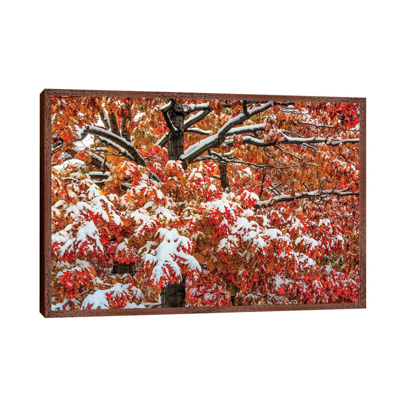 Seasons Of Change by Bill Sherrell - Gallery-Wrapped Canvas Giclée on Canvas, Classic Wood Framed, 66.04 cm H x 45.72 cm W