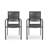 Outdoor Modern Aluminum Dining Chair With Rope Seat (Set Of 2)