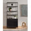 Trey Bookcase-677676596