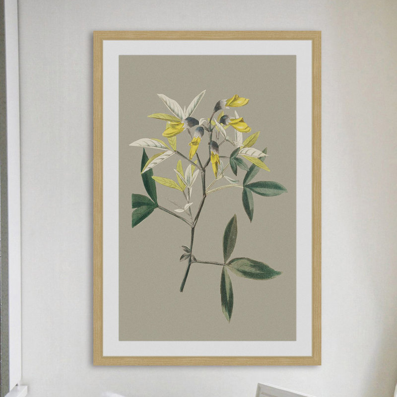 «Botanical Cabinet VI», reproduction encadrée, H 18 po x l 12 po x P 1,5 po