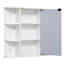 Arvy Surface Framed Mirrored Bathroom Cabinets with Mirror and 9