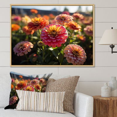 " Colorful Zinnias Field At Sunrise VI "