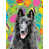 Belgian Sheepdog