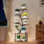 Plant Stand