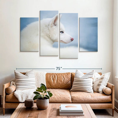 Brampt Pure White Husky