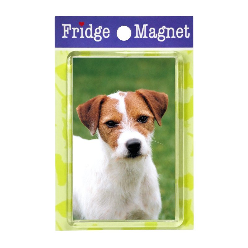 Fridge Magnet