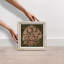 Tradition Shadowbox Floral & Botanical Print by Oliver Gal, Black Frame, 12 x 12-1749608851-1749608850