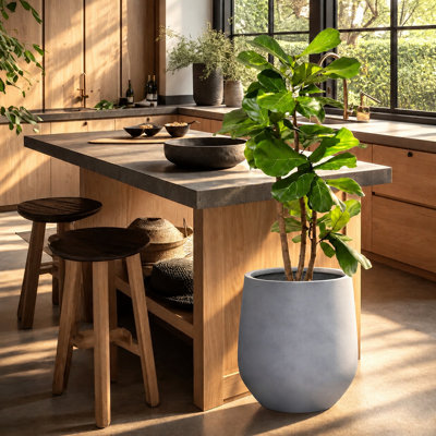 Dorlis Fiberstone Pot Planter
