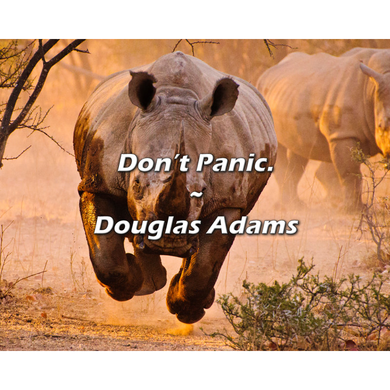 Citation de Douglas Adams: «Don't Panic».