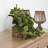 13'' Faux Philodendron Plant in Foam Freestanding