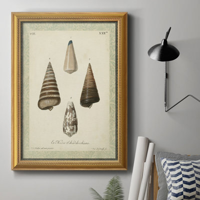 " Bookplate Shells VI "