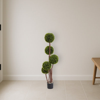 Boxwood Topiary