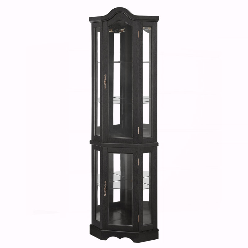 Curio Cabinet Lighted Glass Display Curio Cabinet, Black