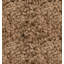 Indoor Rug