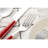 ANNOVA Stainless Steel Flatware Set - Service for 4-53751918