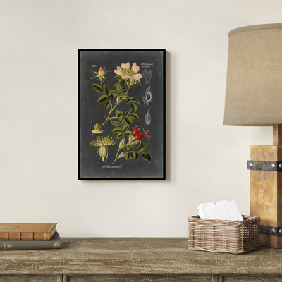 «Midnight Botanical I» par Vision Studio, impression sur toile