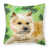 Cairn Terrier